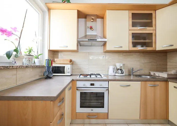 Marta 马斯莱尼察